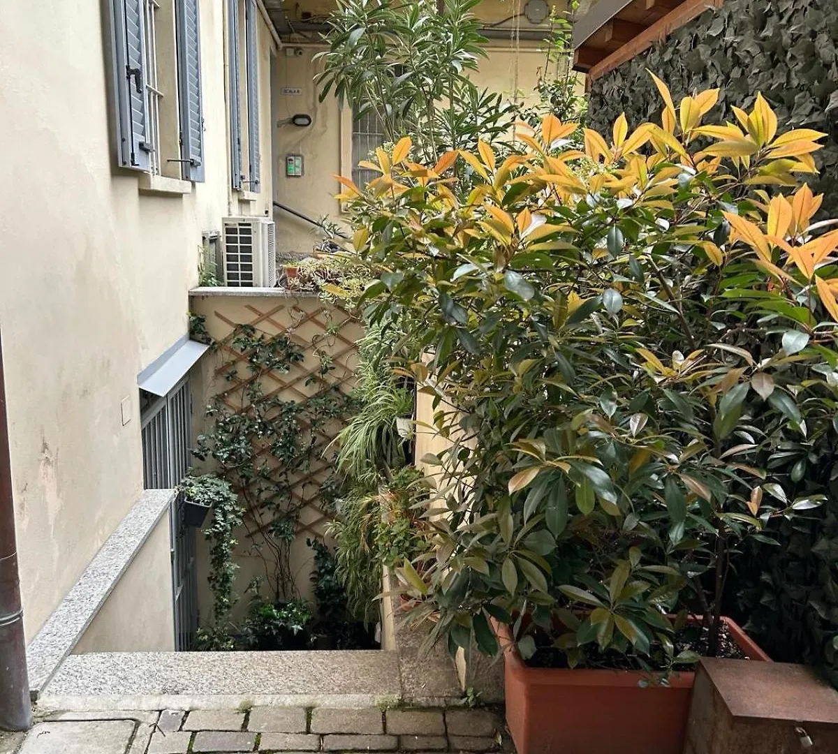 Pola\'S House location